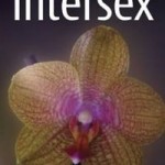 Intesex